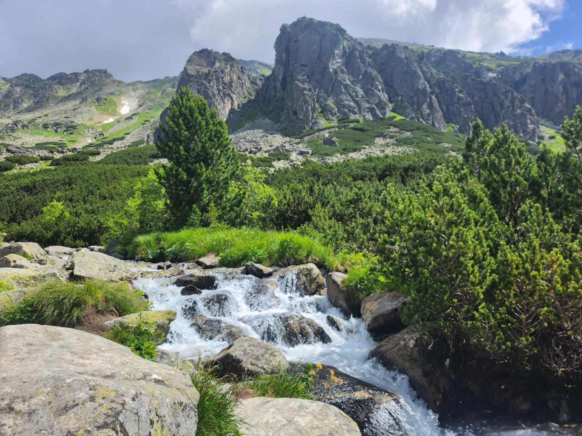 Apartman Ve Vysokych Tatrach Štrbské Pleso Eksteriør billede