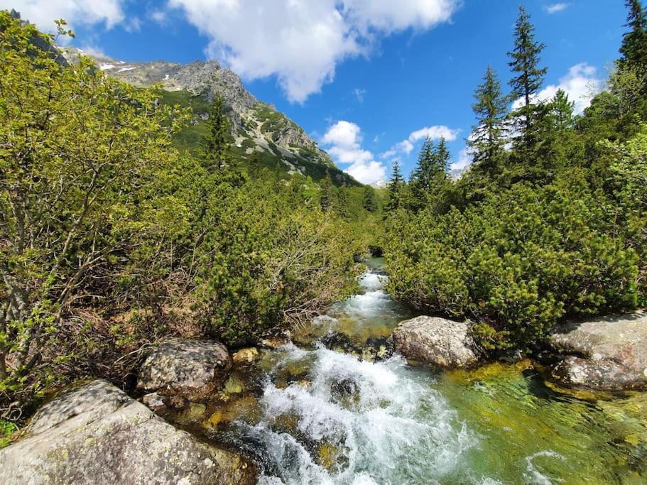 Apartman Ve Vysokych Tatrach Štrbské Pleso Eksteriør billede